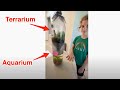 Amazing EcoColumn: TERRARIUM &amp; AQUARIUM