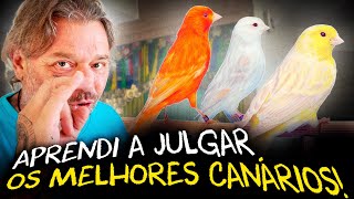 ENTRE CAMPEÕES: COMO SÃO JULGADOS OS CANÁRIOS EM COMPETIÇÃO? by Richard Rasmussen 77,124 views 10 days ago 13 minutes, 59 seconds