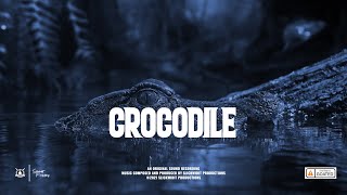 "CROCODILE" ~ Dancehall Riddim Instrumental 2021 | Slickwidit Prod