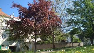 George Washington Hof 1