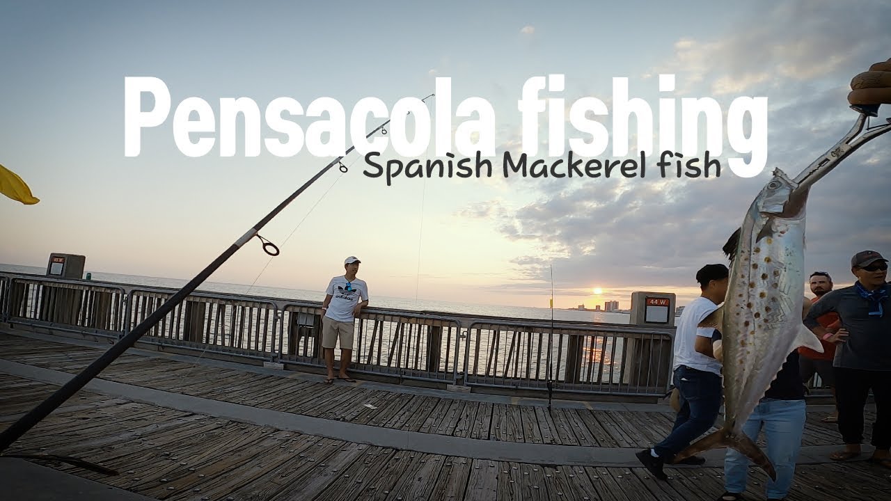 FLORIDA Pier fishing with GotCha Lures For Spanish Mackerel fish YouTube