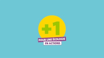 +1, pour une écologie en actions | Veolia