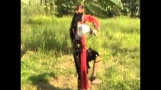 Download lagu Remo Muda by Rifansa Grandis