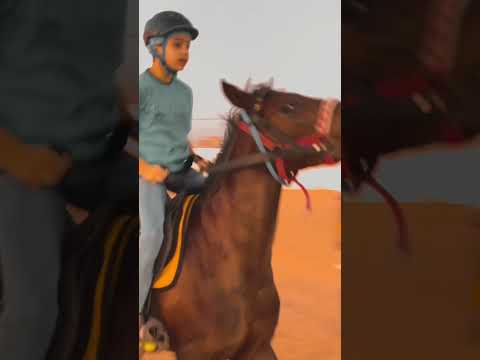 رميتني لحصاني ويا ميم أنا خيال أنا وأنا على الخيل