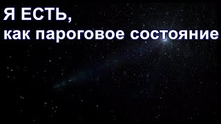 Из ниоткуда в никогда. Часть 19. Я ЕСТЬ, как пороговое состояние. Дмитрий Гаун.