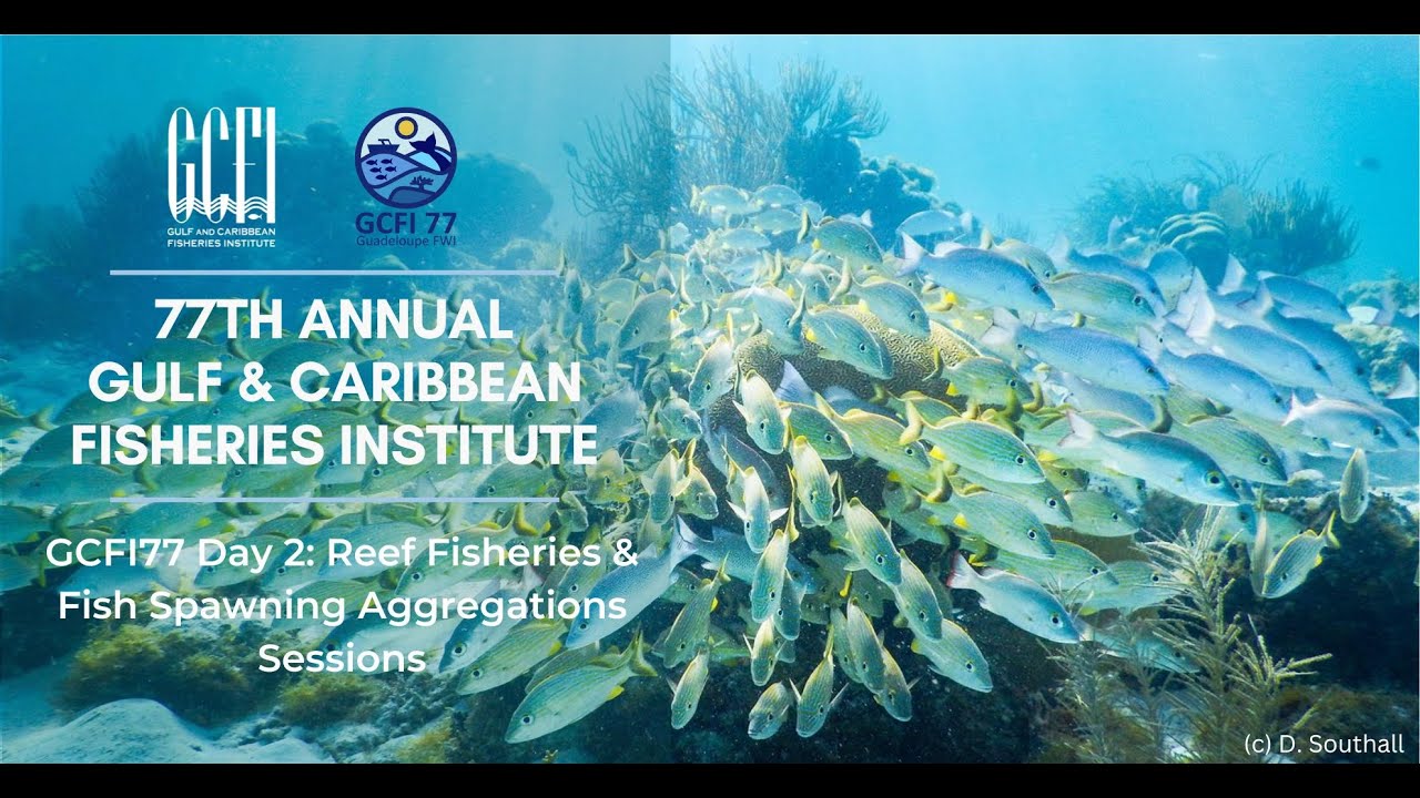 GCFI77 Reef Fisheries & Fish Spawning Aggregations Sessions - YouTube