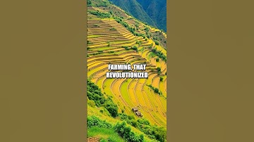 The Fascinating Origins of Machu Picchu