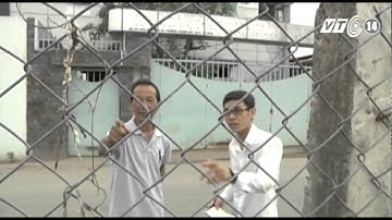 VTC14_TP HCM: Rắn lục đuôi đỏ xuất hiện nhiều bất thường