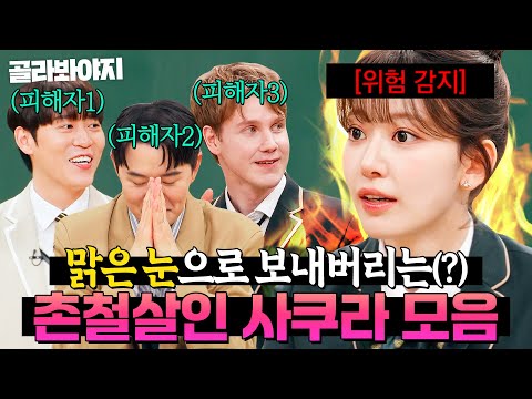 ✨안광이 빛나고 있어요✨ 맑은 눈으로 촌철살인 날리는 사쿠라(<strong>SAKURA</strong>) 모음｜아는 외고｜JTBC 250304 방송 외