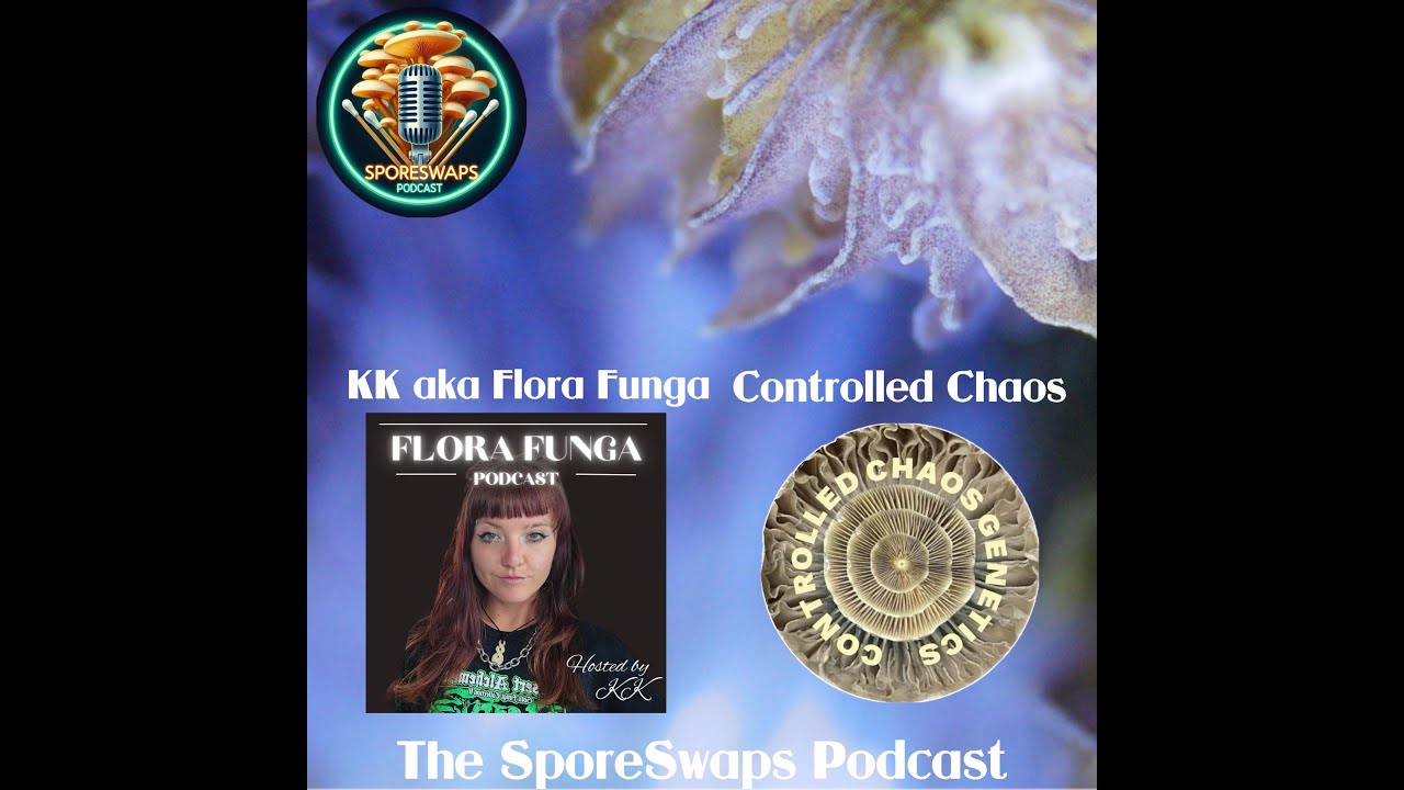 SporeSwaps Podcast Episode 23: KK of the Flora Funga Podcast