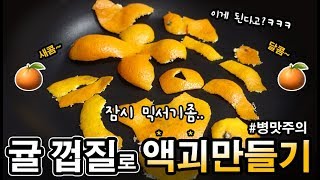 🍊귤 껍질로👉액괴만들기 도전!ㅋㅋ(병맛주의)