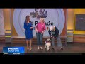 Pet Parade: Second Chance Animal Services