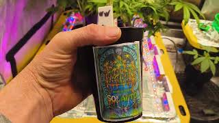 Week 7 solauto cup competition check in 