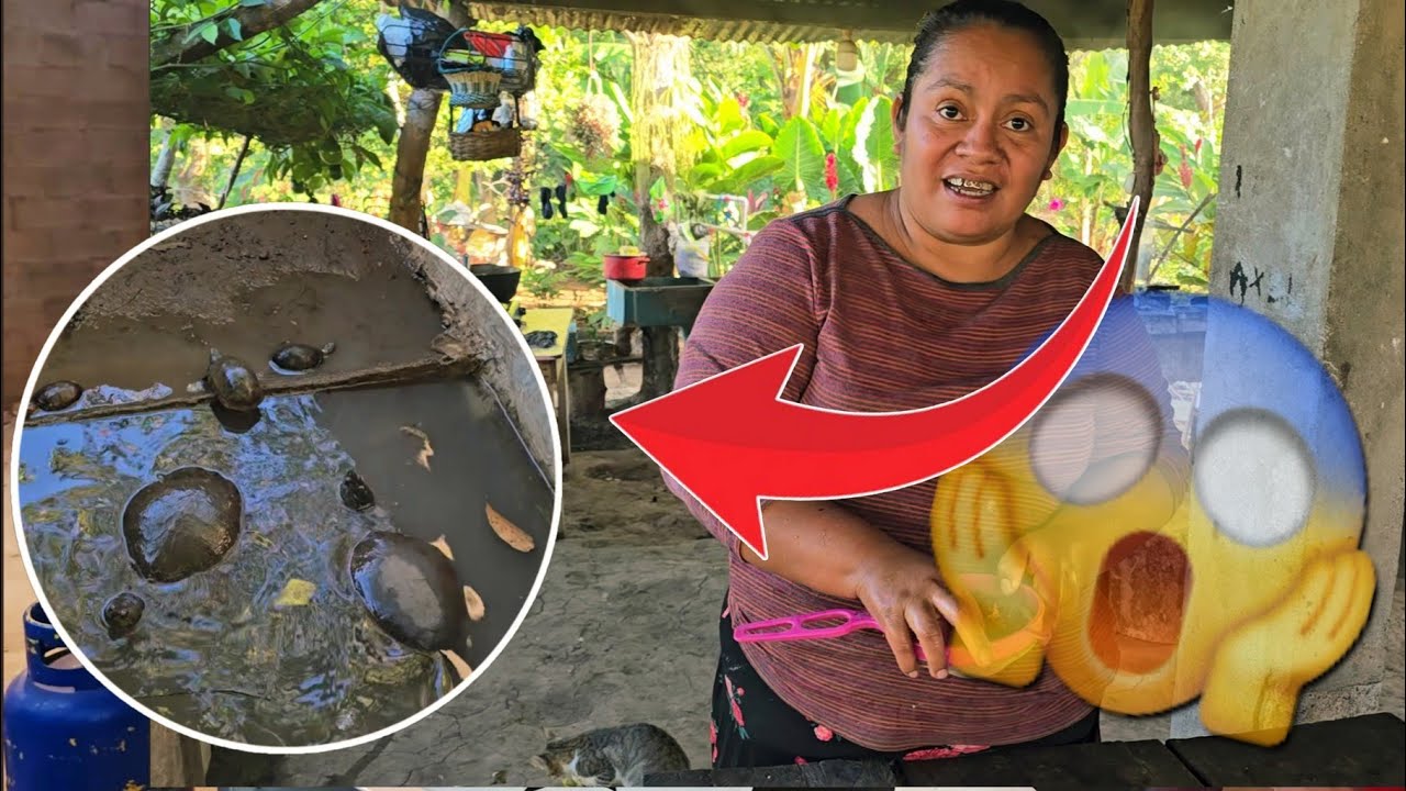 El Secreto Oculto de doña Maura, Todo Salio A La Luz