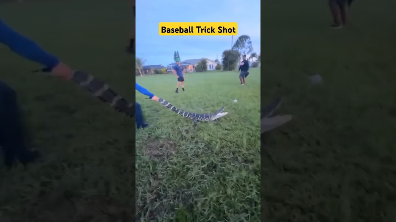 Baseball Funny Fail Trick 🤣😂| Try Not To Laugh 😂!