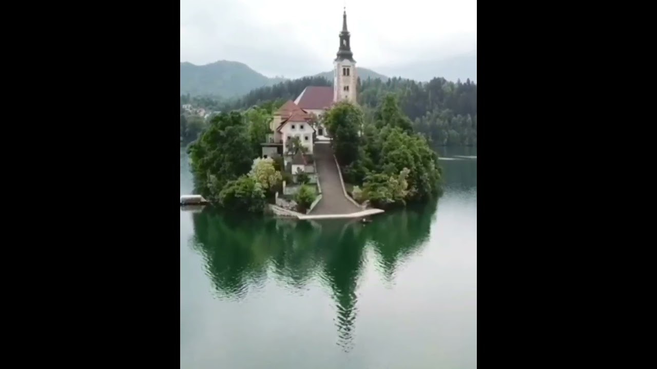 🌳🌊The rugged beach