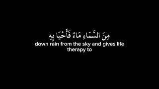 سورة العنكبوت الآية 63🌿. عبد الرحمن مسعد🌿.صدقة جارية لجدتي🌿. #kawthar7016 #صدقة_جارية