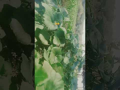 16 November 2025 - YouTube