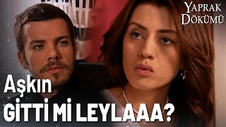 Leyla, Oğuz'a Ayrılalım Dedi! - Yaprak Dökümü Özel Klip