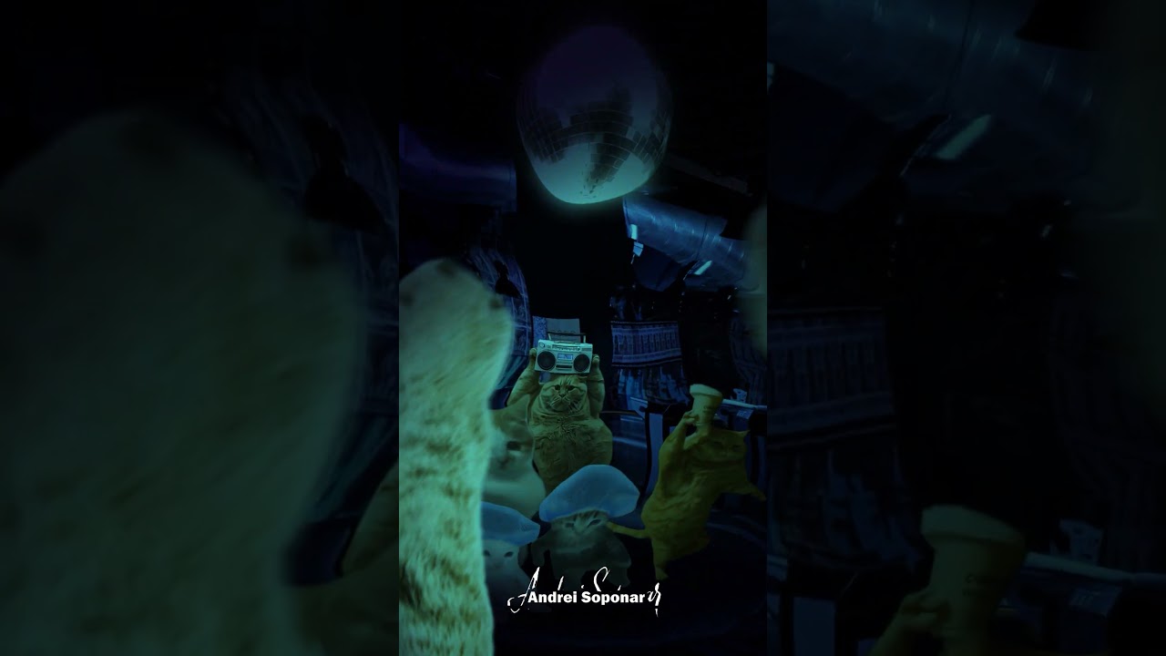 3D Cats Promotional Song Short