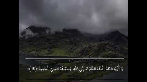 ناصر القطامي سورة فاطر. آيات مختارة