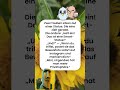 Tauben-Probleme 2026 🐦📸 #socialmedia