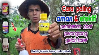 Download lagu Obat karet biar getah banyak - Cara biar getah karet deras - Cara pohon karet banyak getahnya