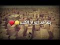 ارحمني ياوادي نجف حزينه حالات واتس اب 