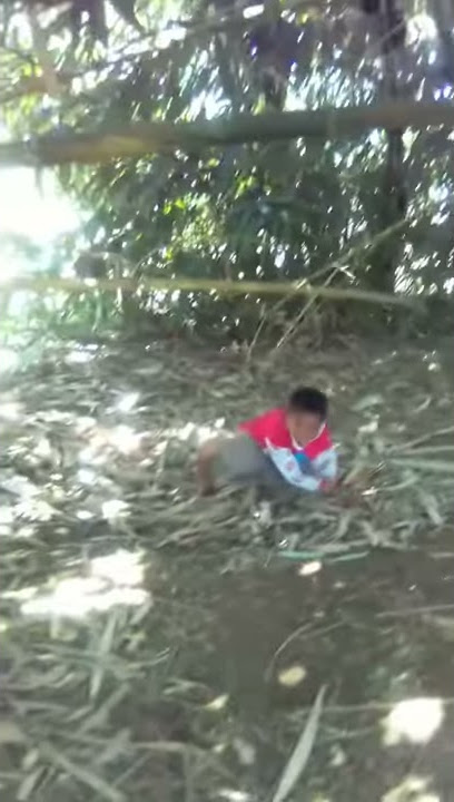 Orang bunuh diri tapi lucu
