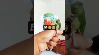 Normal Tota Se Genius Scientist! 😂🧠 | 5 Sec Ka Chamatkar #viral#funny short short feed short viral##