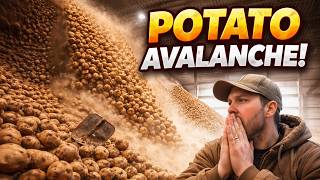 Millions of Potatoes… Then They ALL Avalanched!