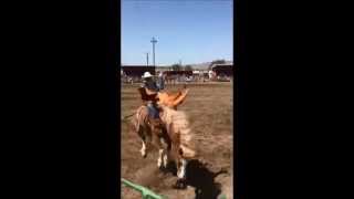 First Bareback ride rodeo
