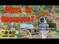 巣枠同士の隙間（ビー・スペース）について 5月"What Is Beespace?" （English subtitles available）