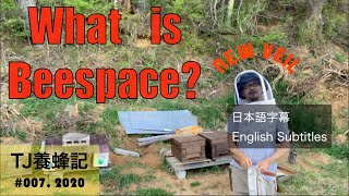 巣枠同士の隙間（ビー・スペース）について 5月"What Is Beespace?" （English subtitles available）