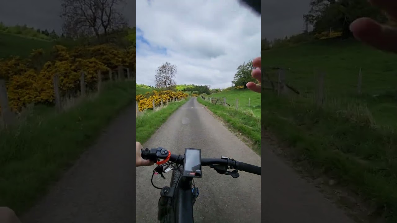 Befang ultra 1500w bike back track