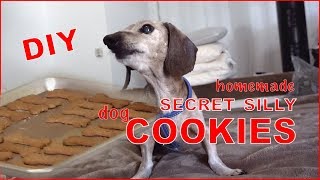 DIY DOG TREATS - Healthy All Natural Homemade Dog Cookies