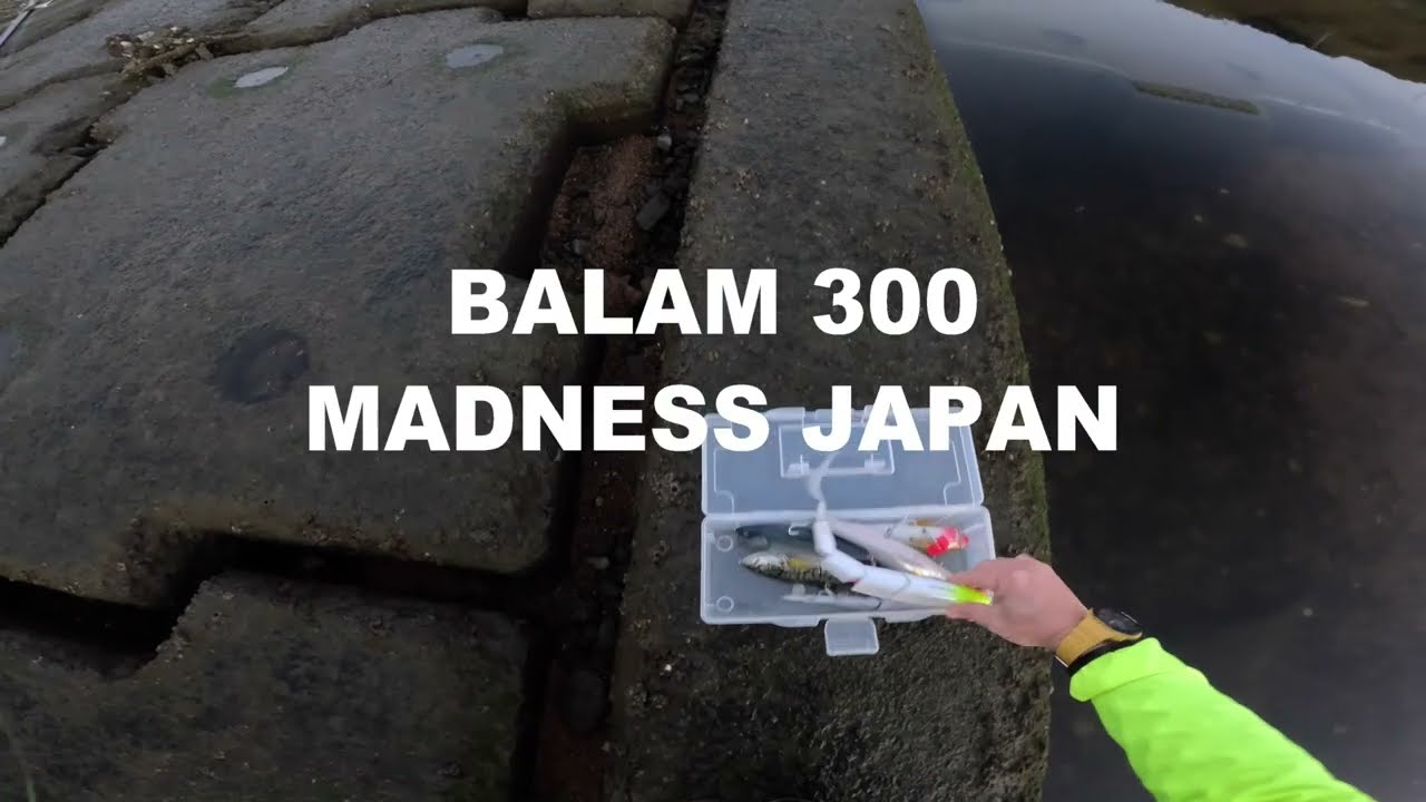 バラム300・LMSコノシロパーティー ルアマガオリカラ でかバスを狂乱させるバラムに対シーバス向けソルトカラー『バラム300