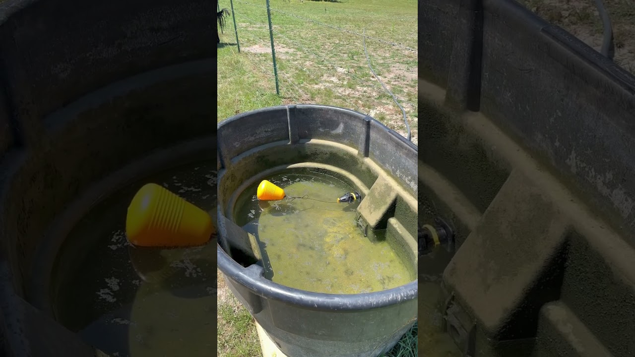 Jobe Megaflow valve is here. Easy to install and had fast flowing fresh water in 20 minutes. 150 gal