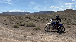 Fernley Dirt Biking May 24, 2026
