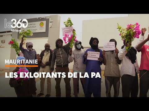 Mauritanie: «Non à la destruction de la palmeraie» de Nouakchott