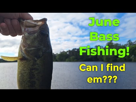 June Bass Fishing can I get the bite!!???