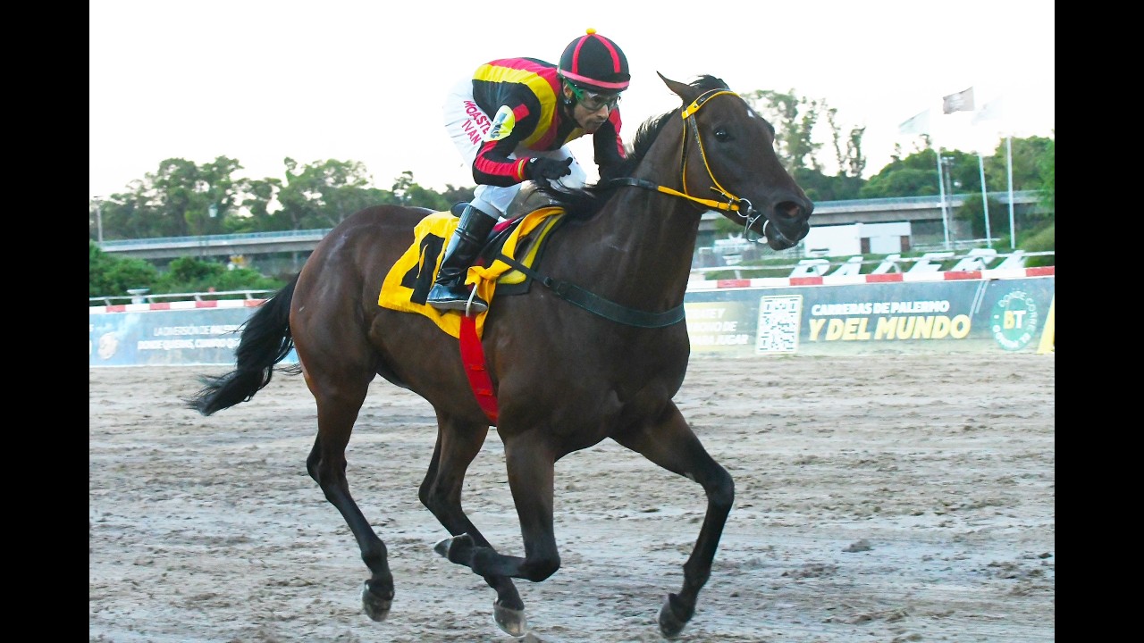 Clásico General Arenales (G3) 2026 - Lissette Island (Lizard Island)