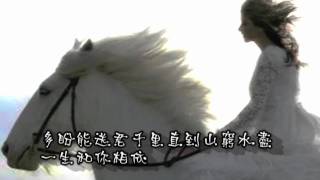 飄洋過海來看你-江淑娜