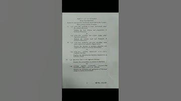 B.Ed TNTEU August 2024 | Creating an inclusive school QP