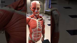 IMG 5284