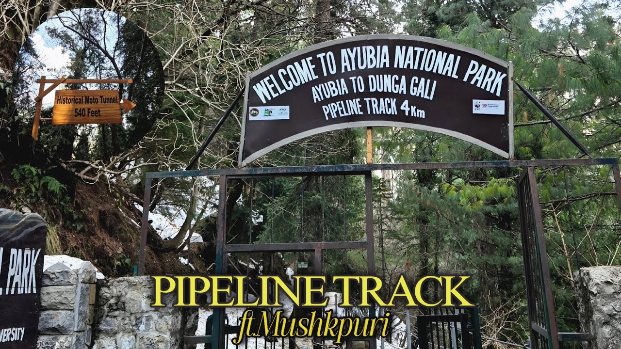 Memorable Day ft. Pipeline track 🌷