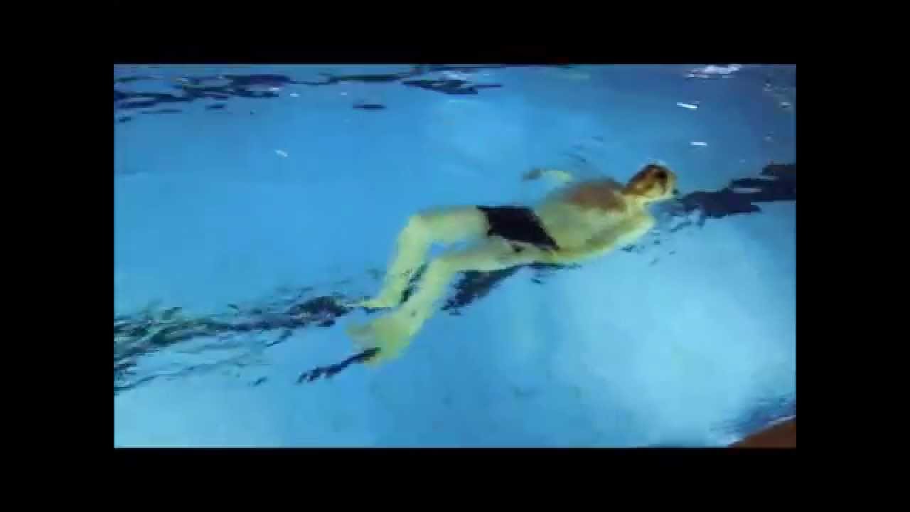 Kurschatten"Rechts-Links-Beide"