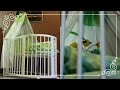 ОБЗОР! Детская кроватка ComfortBaby SmartGrow #3