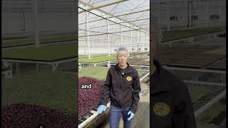 Celebrity 🌱🤖 Ag-Tech in Action in Goodyear, AZ! 🚜✨ #agtech #farming #farmsmart #foodeducation Wealth