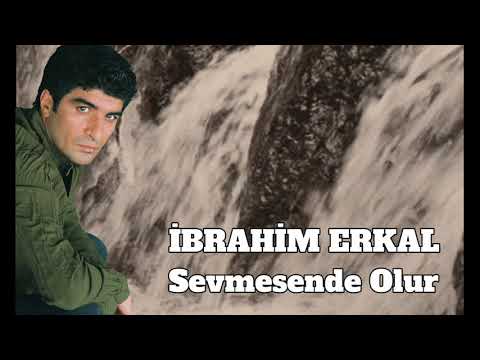 İbrahim Erkal - Sevmesende Olur
